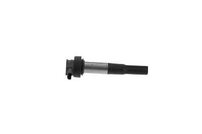 Picture of Ignition Coil - BorgWarner (BERU) - ZS386